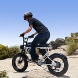 Meelod DK300PLUS Ebike