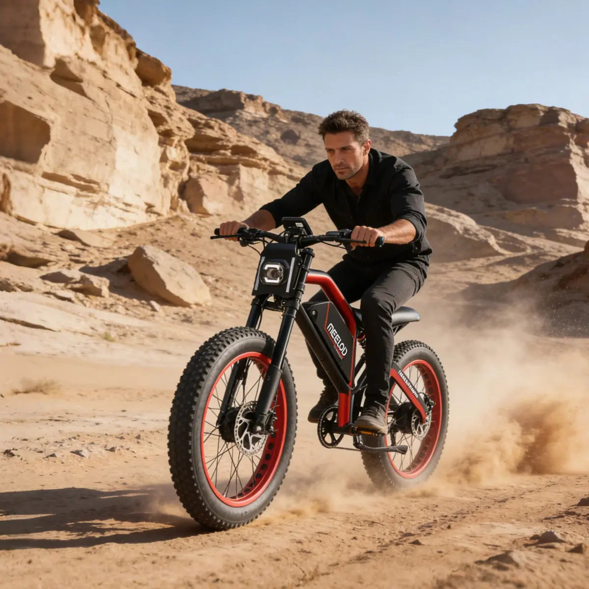 Meelod XT600DL Ebike