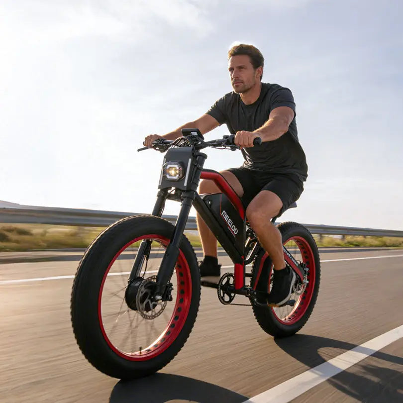 Meelod XT600DL Ebike