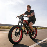 Meelod XT600DL Ebike