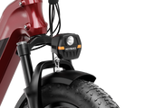Ranger 3.0 Pro Ebike