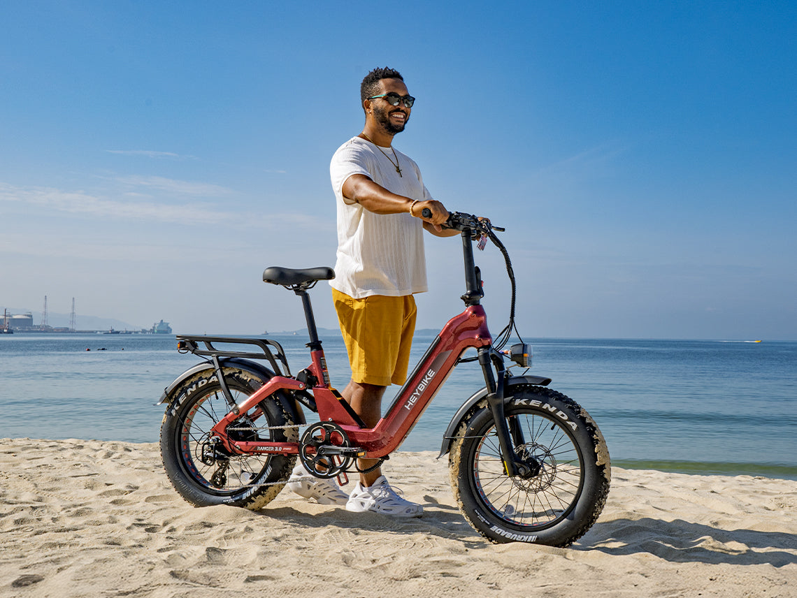 Ranger 3.0 Pro Ebike