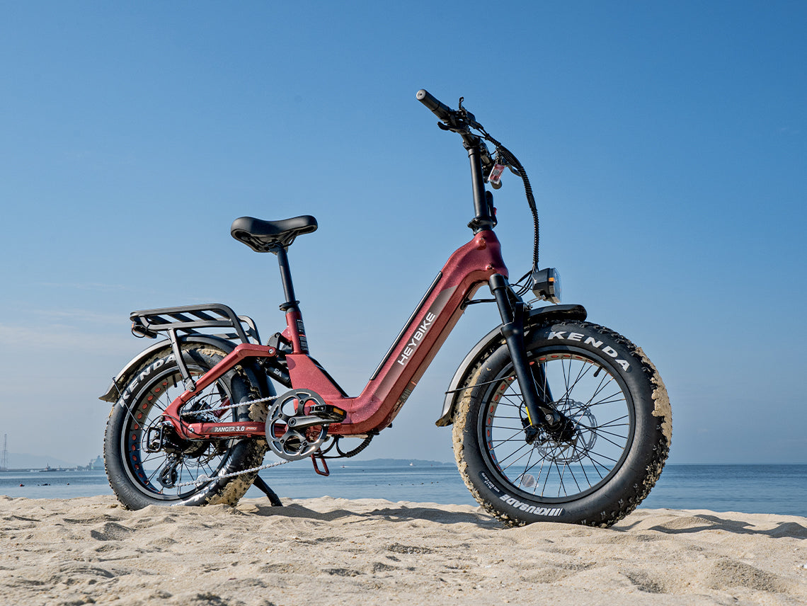 Ranger 3.0 Pro Ebike