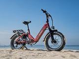 Ranger 3.0 Pro Ebike