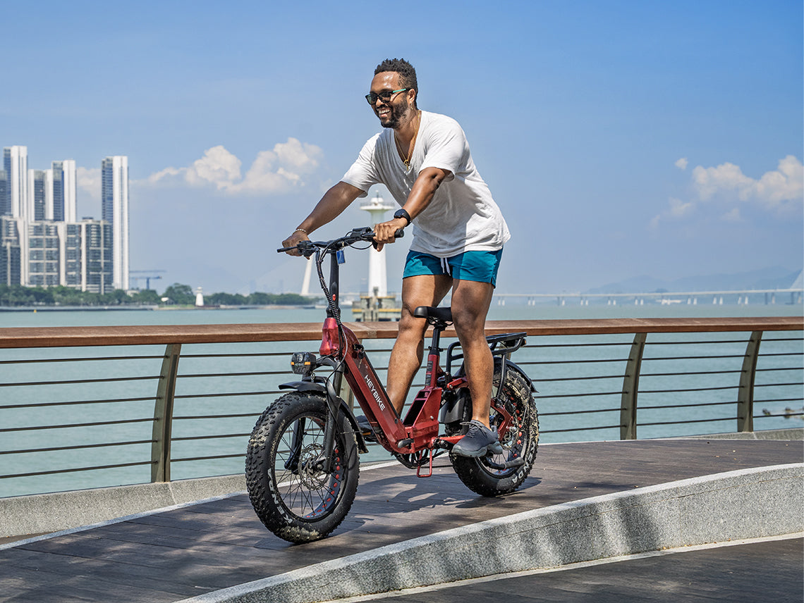Ranger 3.0 Pro Ebike