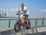 Ranger 3.0 Pro Ebike