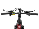 Ranger 3.0 Pro Ebike