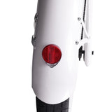 26" Raptor Pro DS Electric 5-Speed 800W Chopper Fat Tire Bike