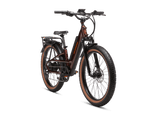 Radster Trail electric off-road bike, angled view