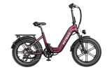 Ranger S Ebike
