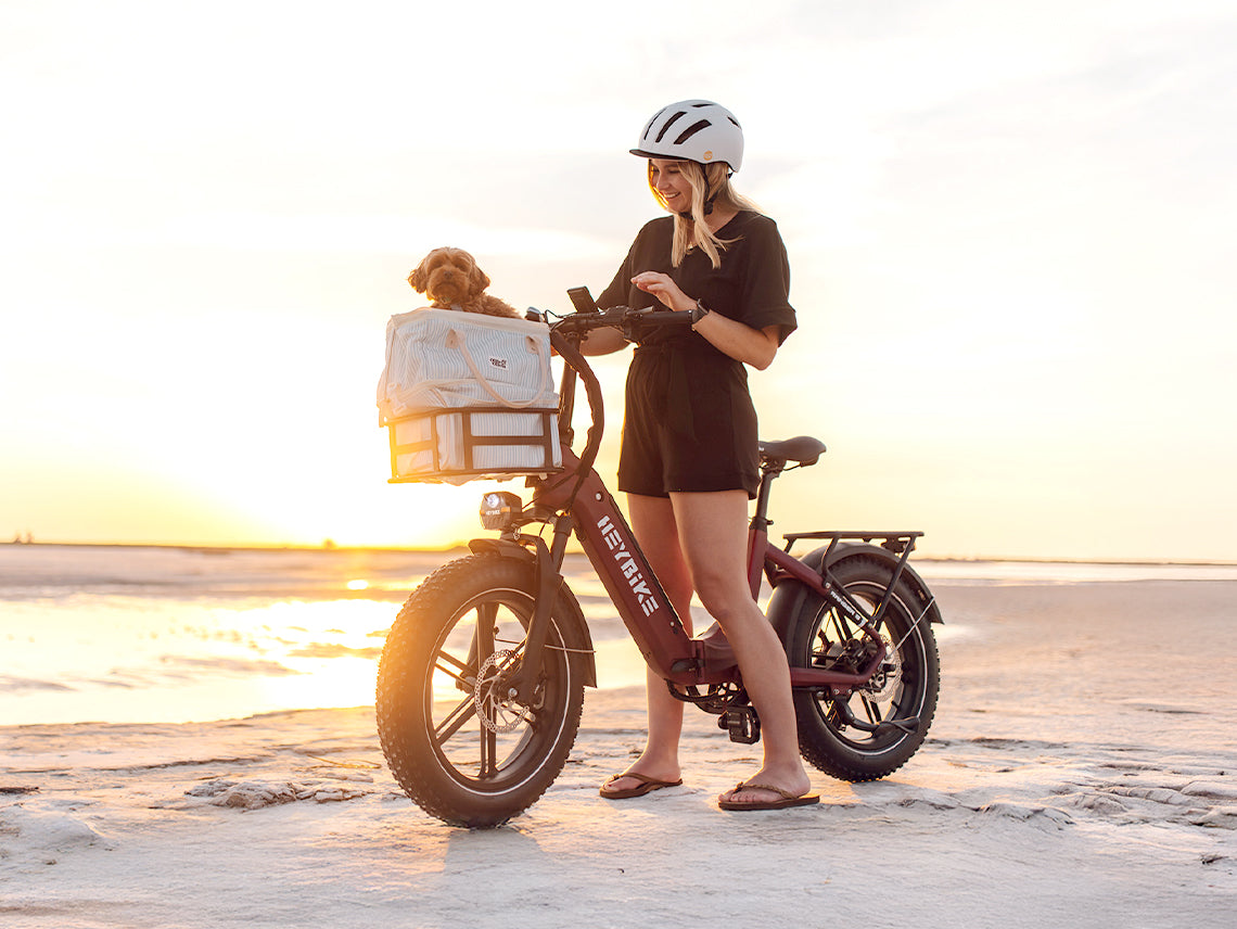 Ranger S Ebike