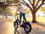 Ranger S Ebike