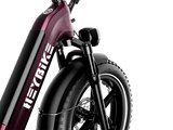 Ranger S Ebike