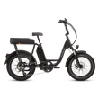 RadRunner Plus electric cargo bike, side view
