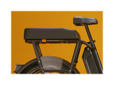 RadRunner Plus passenger package with footpegs
