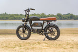 Tamobyke T73 Max  Electric Bike