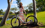UrbanCross-Pro Ebike