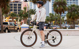 UrbanCross-Pro Ebike