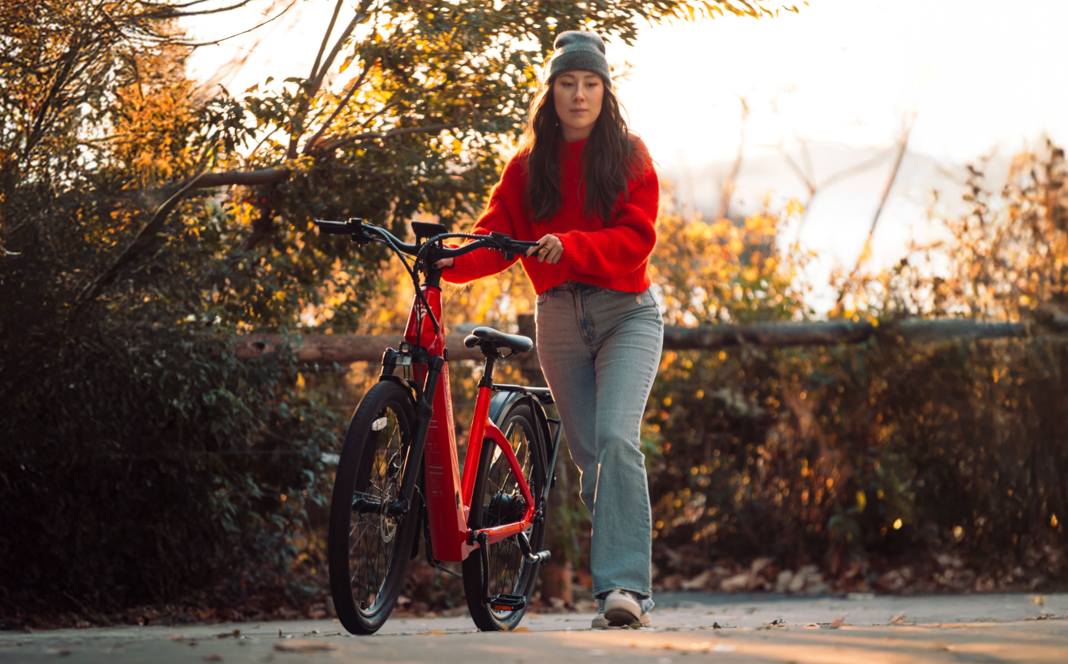 UrbanGlide-Pro Ebike