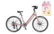 Venus Ebike