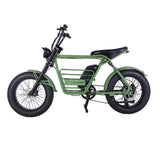 20" Verge 800W Fat Electric Motorbike