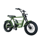 20" Verge 800W Fat Electric Motorbike