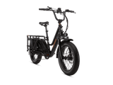 RadWagon 5, black colorway