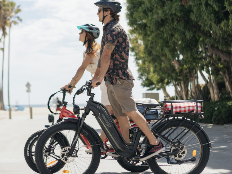 Wild Cat Ultra A-340 Ebike