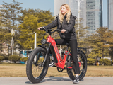 Wild Cat Ultra A-340 Ebike