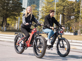 Wild Cat Ultra A-340 Ebike