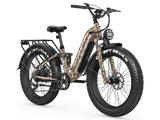 Wild Cat Ultra A-340 Ebike
