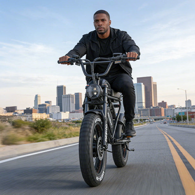 Meelod DK300MAX Ebike