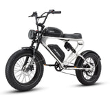 Meelod DK300PRO Ebike
