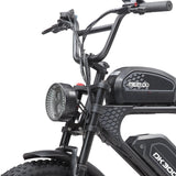 Meelod DK300PRO Ebike