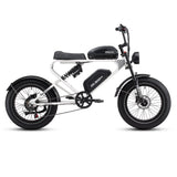 Meelod DK300PRO Ebike