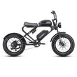 Meelod DK300PRO Ebike