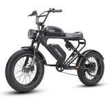 Meelod DK300PRO Ebike