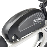 Meelod DK300PLUS Ebike