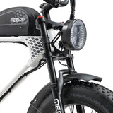 Meelod DK300PLUS Ebike