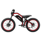Meelod XT600DL Ebike