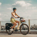 Mihogo Air Max Ebike