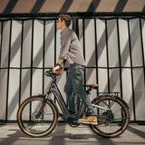 Mihogo Air Max Ebike