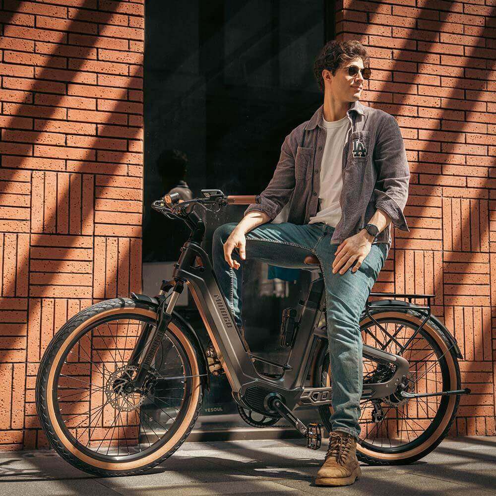 Mihogo Air Max Ebike