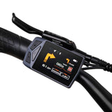 Mihogo NX Ebike