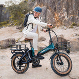 Mihogo ONE Ebike