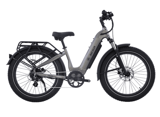 Big Sur 2.0 Ebike