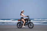 Tamobyke T73 Electric Bike