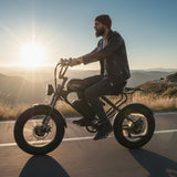 Meelod DK300PRO Ebike