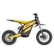 Villain Electric Dirt Bike