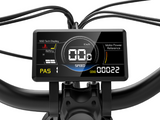 Wild Cat Ultra A-340 Ebike